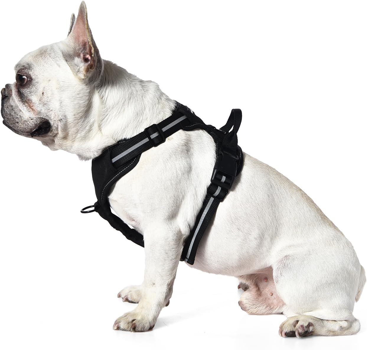 Detalle de Amazon Basics Harnais pour chien sans traction – taille M, noir