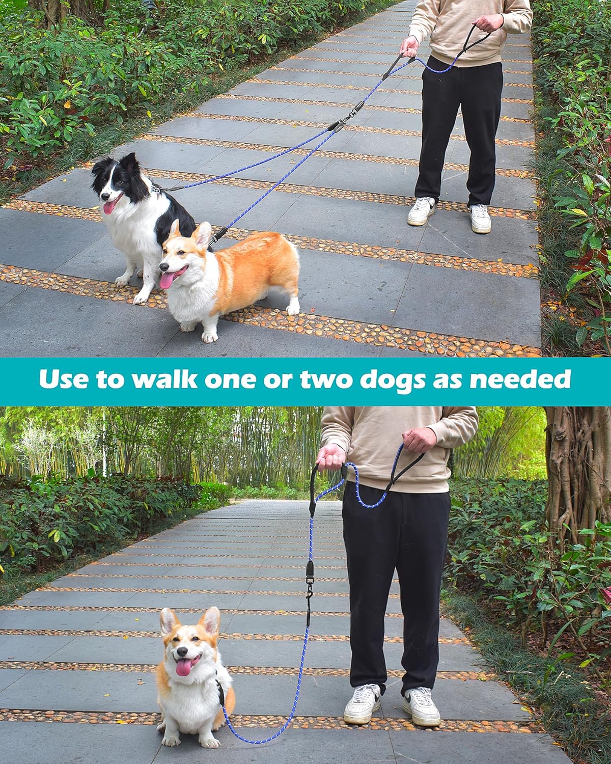 Thumbnail 4 de PetBonus Rope Double Dog Lead (No Tangle Dual Lead) with 360° Swivel Clips, Reflective Walking Training Leash, Blue