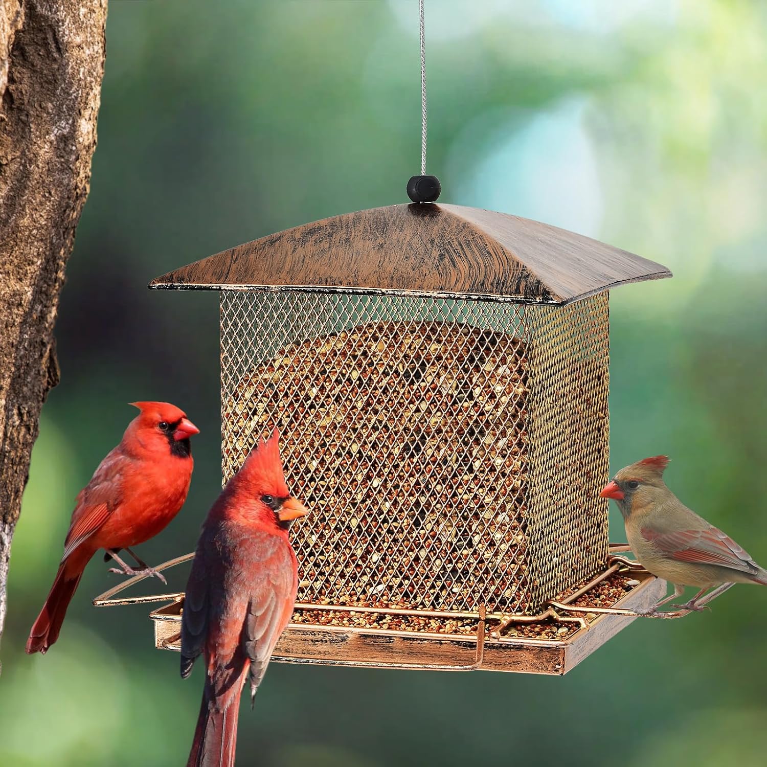 Thumbnail 5 de IWTTWY Bird Feeder Hanging: Heavy-Duty, Squirrel-Proof, Large-Capacity Square Feeder