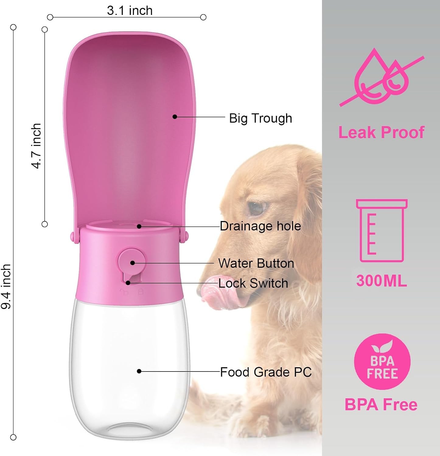 Detalle 2 de Gezimetie Dog Water Bottle (300ML) – Foldable, BPA-free travel dispenser with filter and spill-lock