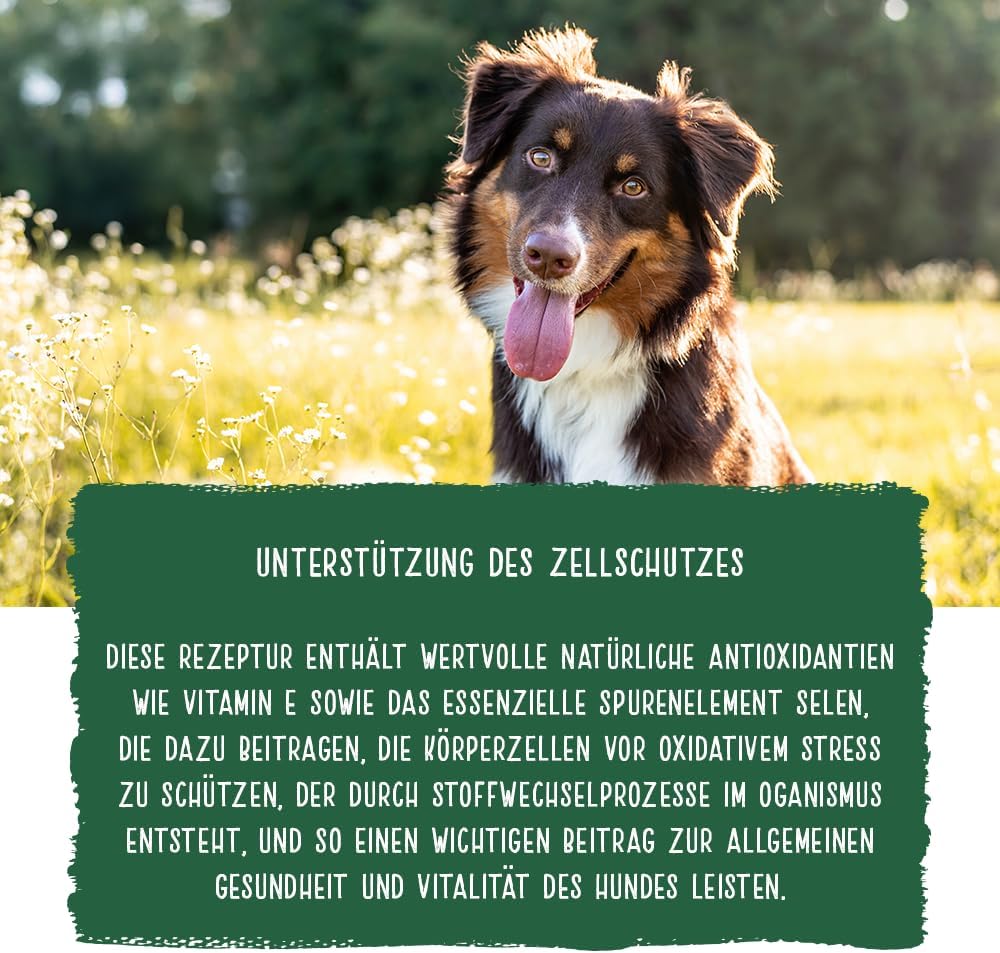 Thumbnail 3 de Chicopee Pro Nature Line Adult – trockenes Hundefutter mit Lamm & Reis, 20 kg