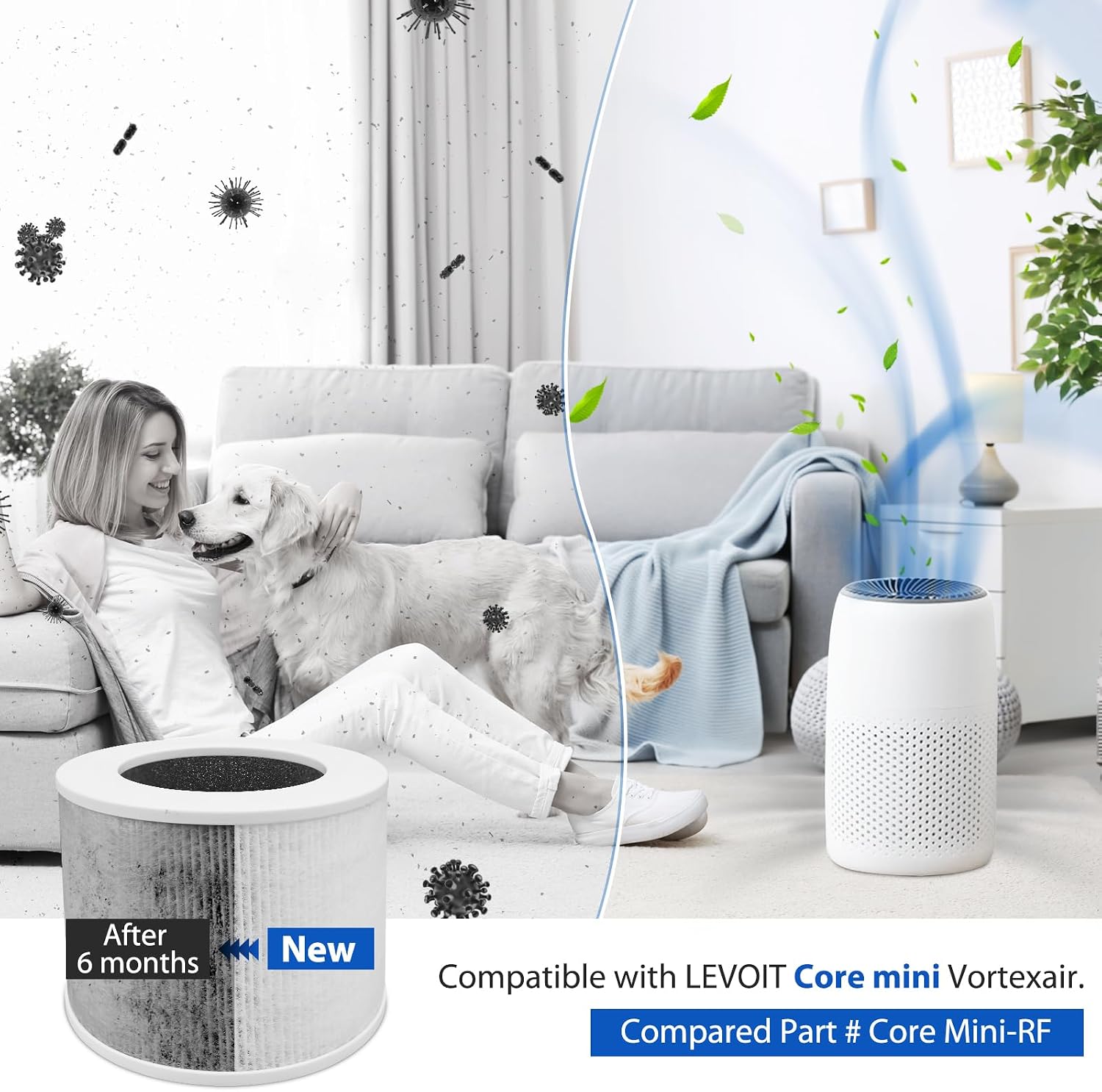 Detalle 2 de LEVOIT Core Mini H13 HEPA Filter 2-Pack