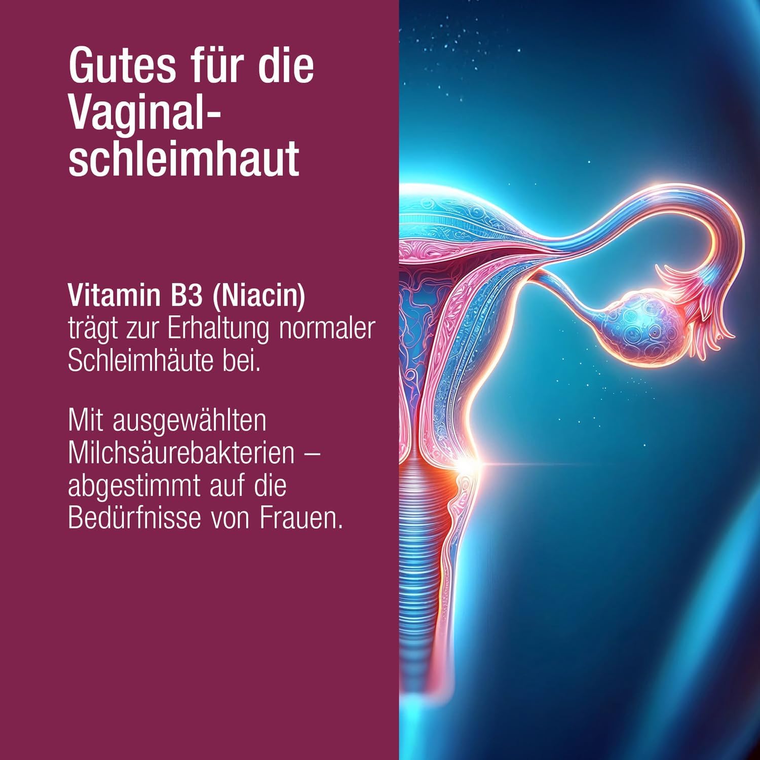 Detalle 2 de Vitactiv INTIMFLORA PROBIOTIK 130 Mrd. KbE/g