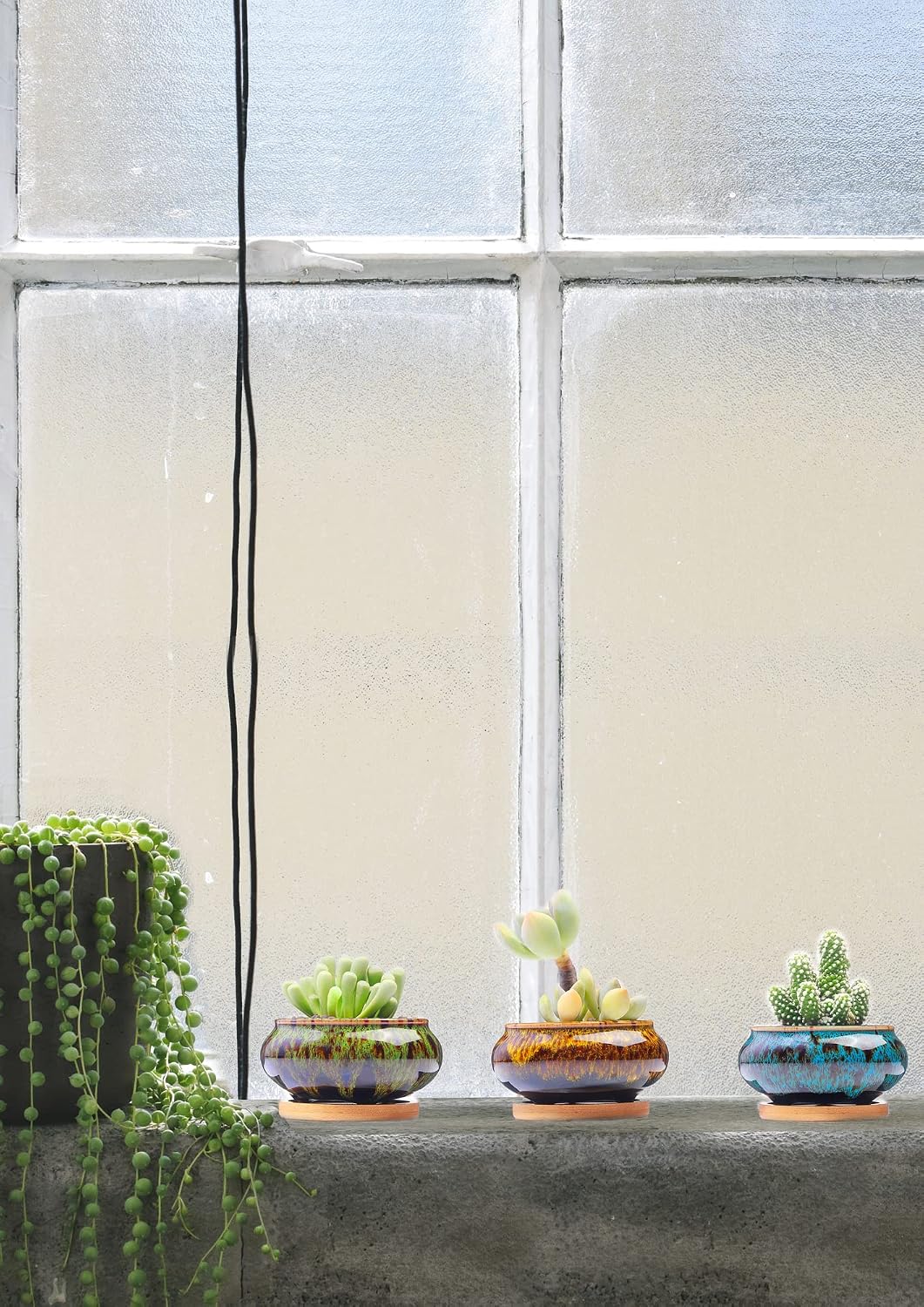 Detalle de LamDawn Ceramic Succulent Planters, Set of 5 with Drainage Holes and Saucers