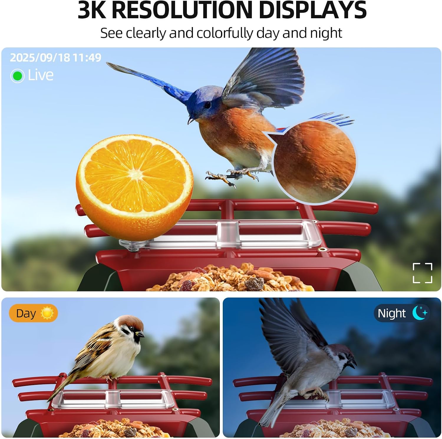Thumbnail 2 de Cadrali Smart Bird Feeder, 3K HD