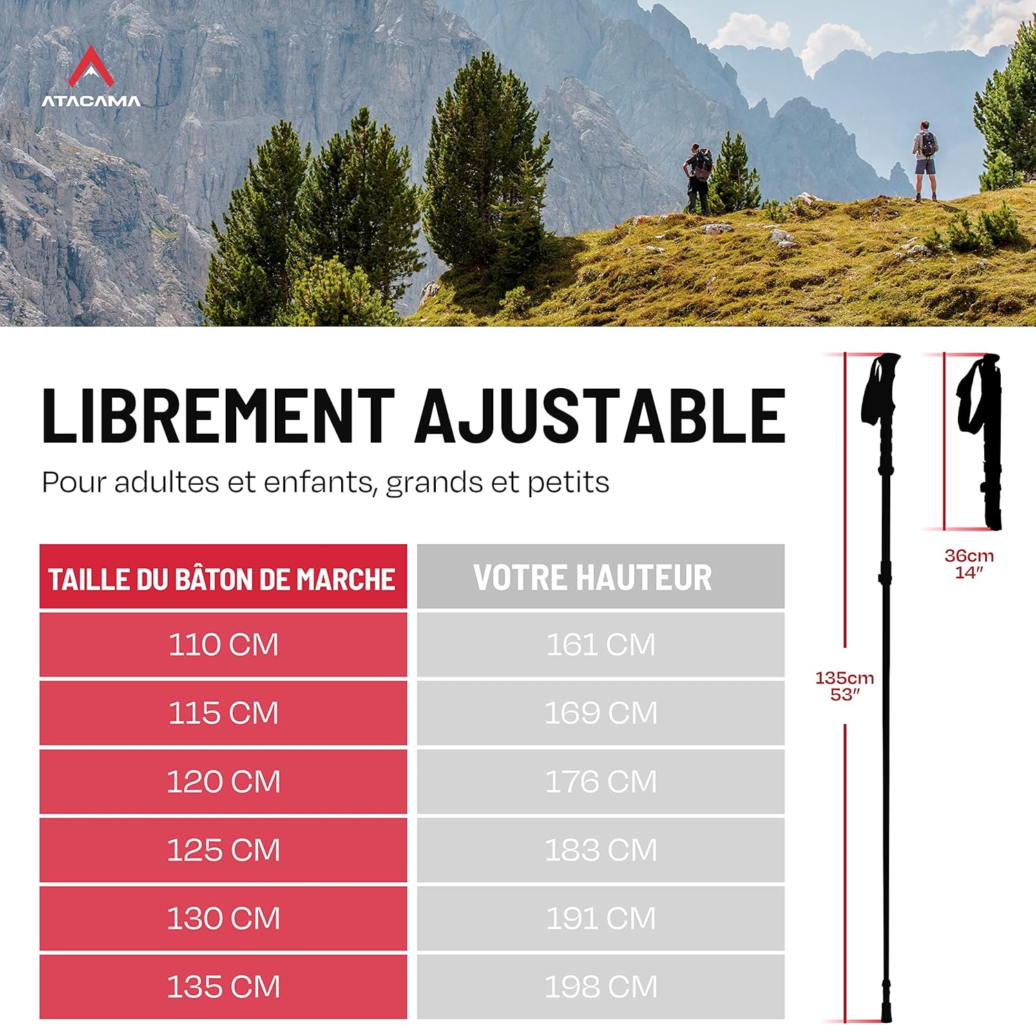 Thumbnail 2 de ATACAMA Bâtons de Randonnée Nordique – ultralégers, pliables et télescopiques en fibre de carbone (63–135 cm) avec poignées en liège