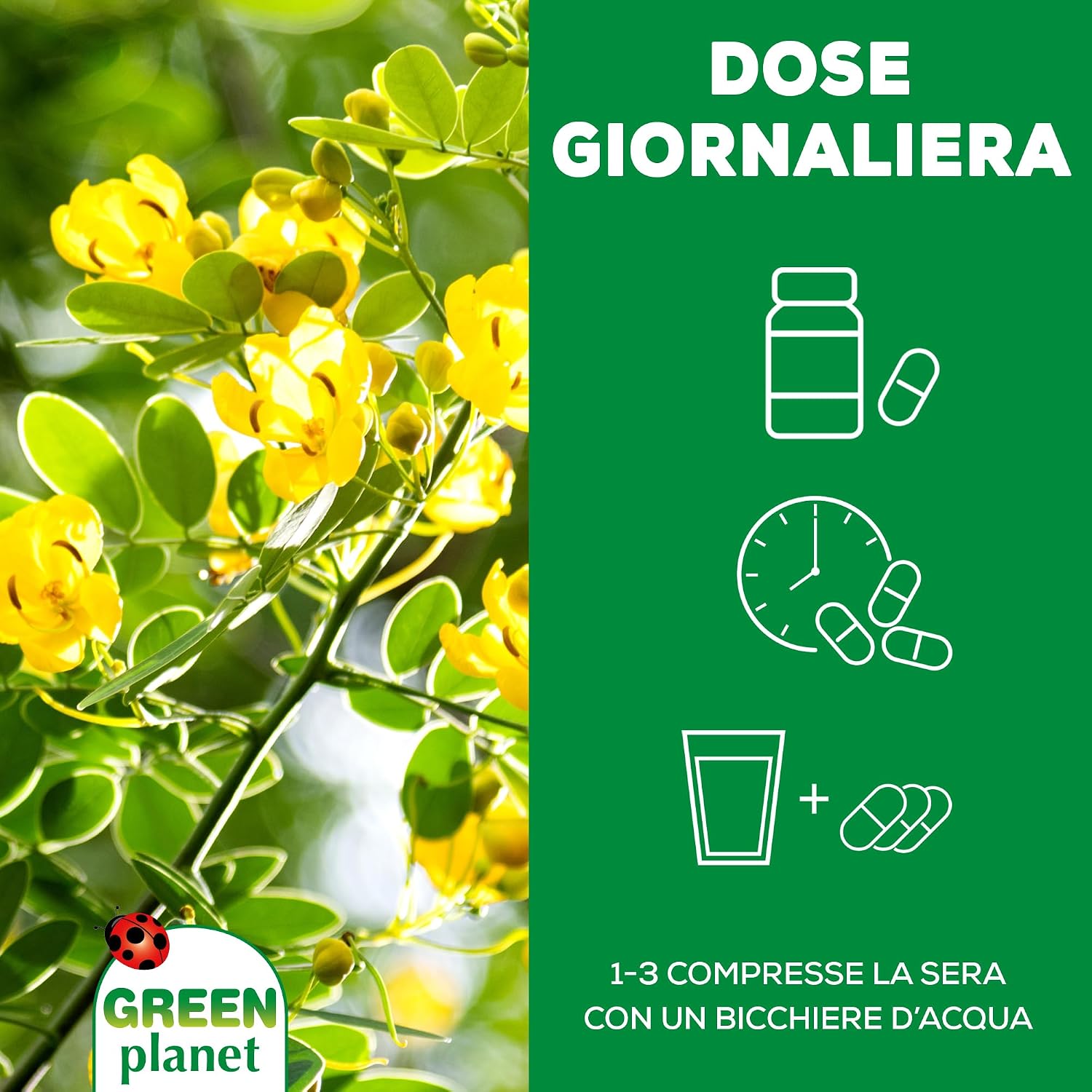 Detalle 2 de Matt Le 12 Erbe del Buon Transito – Integratore vegetale in confezione da 100 compresse