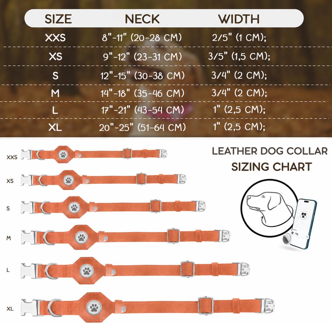 Detalle 2 de BUDKAS Leather Dog Collar XL
