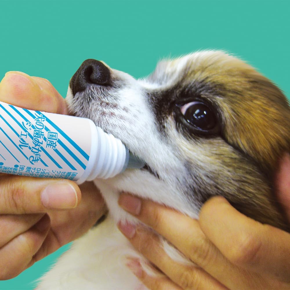 Detalle de トーラス 国産犬の歯みがきジェル 30ml 犬用・アップルフレーバー