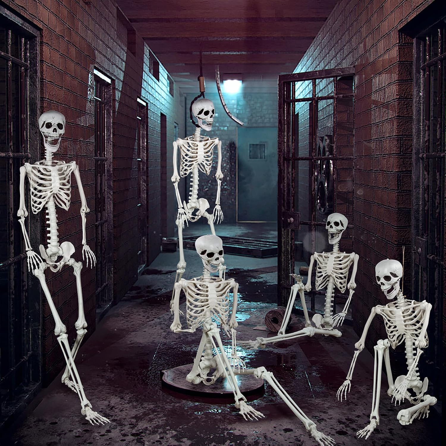 Detalle 1 de XONOR 180cm-GJZ Life-Size Plastic Skeleton with Movable Joints