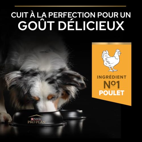 Thumbnail 7 de PURINA PRO PLAN Light/Stérilisé Chien Adulte — Croquettes au Poulet, 7 kg (Toutes tailles)