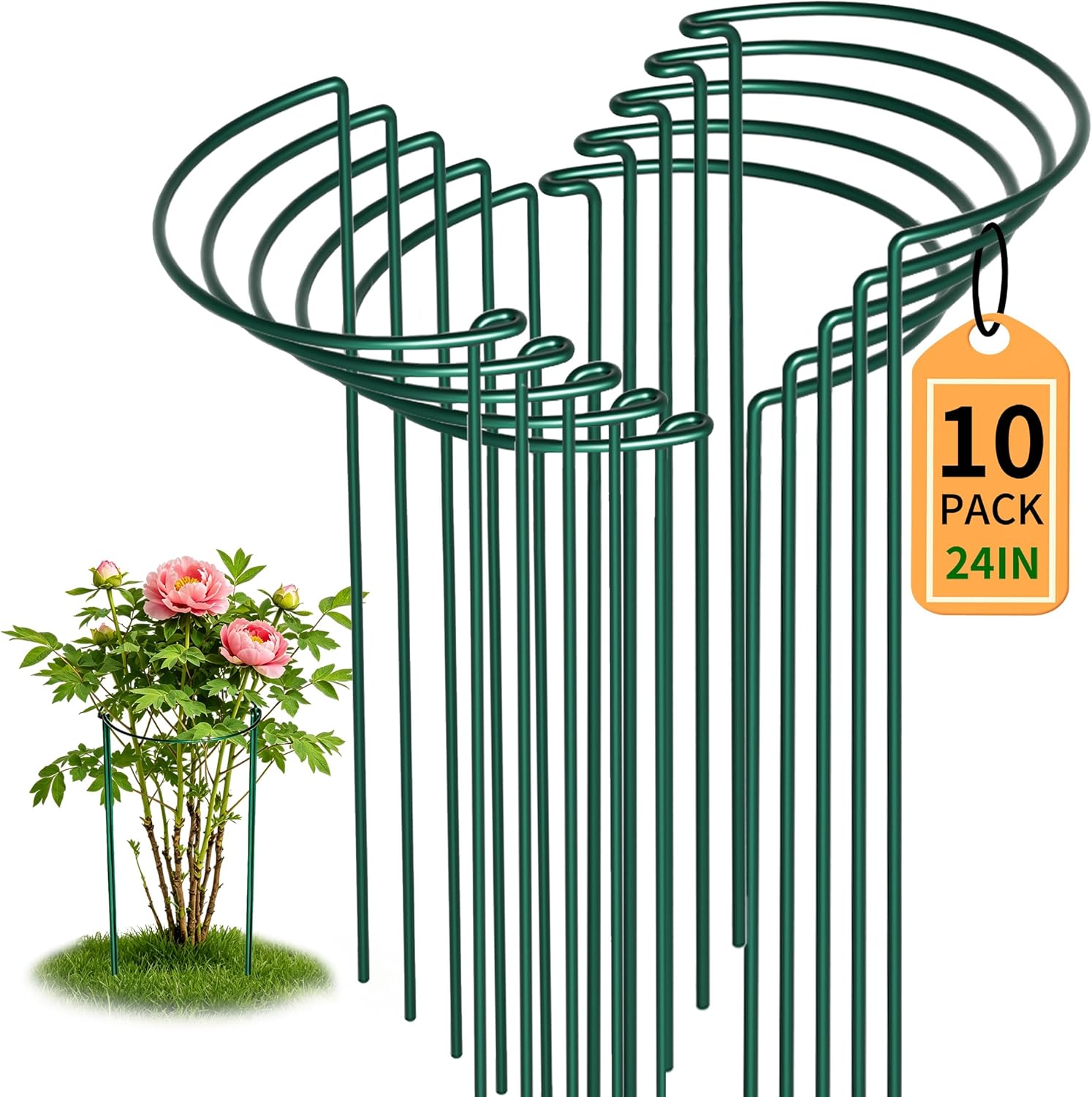 Detalle de 10Pcs Thicken 4MM Metal Garden Supports (25cm Ø x 60cm H) – Extra Thick Plant Cages for Tomatoes & Peonies