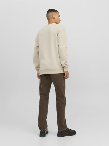 Detalle de JJECHARGE Sudadera con Cuello Redondo Noos Moonbeam de JACK & JONES (Talla L)