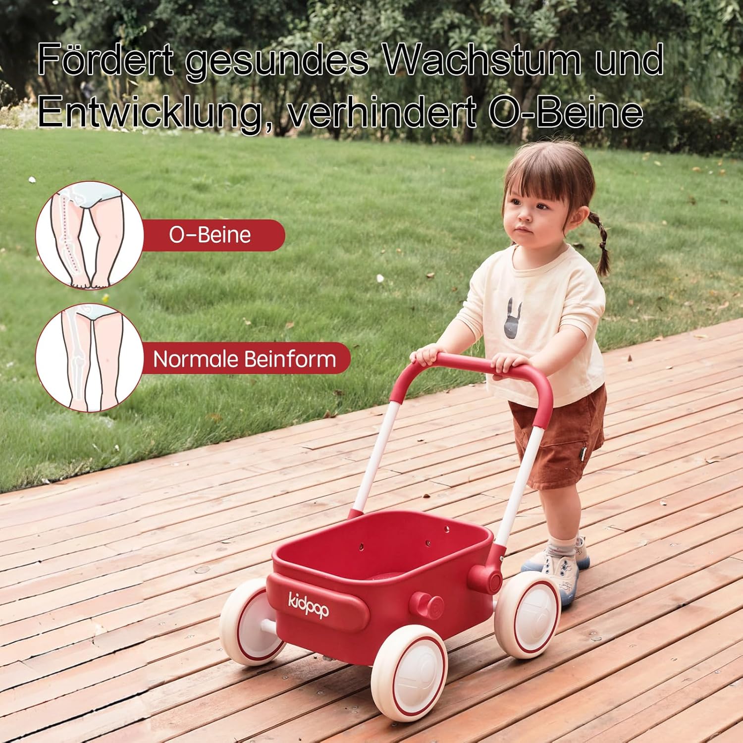 Thumbnail 3 de Kidpop PULA Lauflernhilfe 2-in-1 für 7 Monate