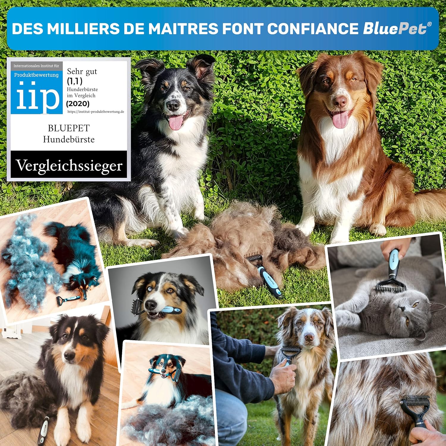 Detalle 2 de BluePet Brosse Chiens & Chats 🐾