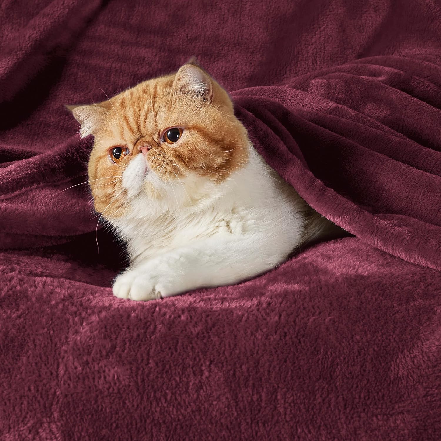 Detalle 2 de BEDSURE Kuscheldecke Flauschig (Fleece-/Fleecedecke) in Weinrot – XXL Wohn- & Couch-Blanket 220x240 cm