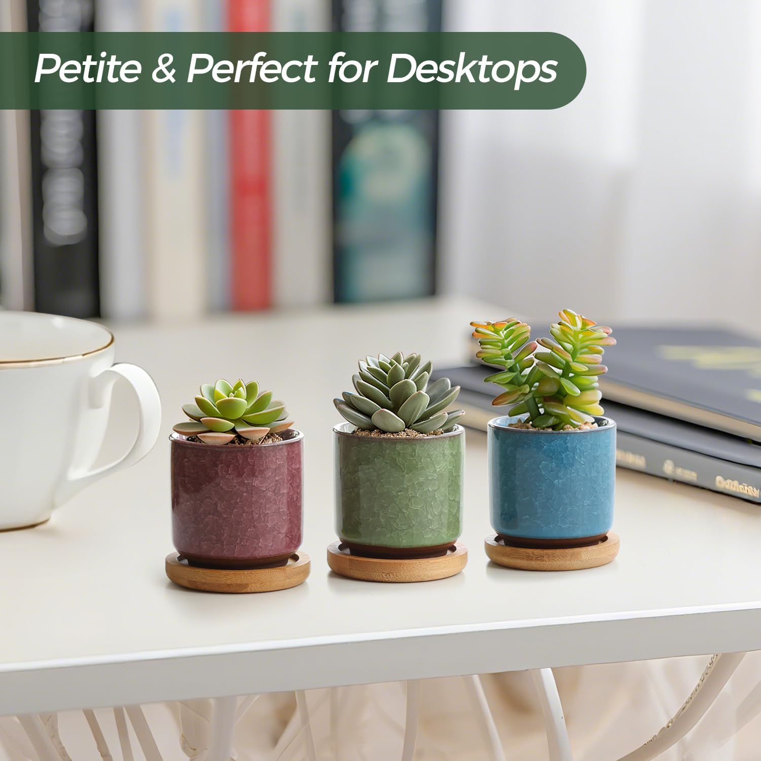 Thumbnail 6 de T4U 6cm Succulent Plant Pot Set of 6 🌱