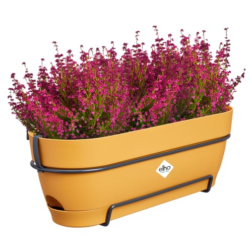 Thumbnail 2 de Elho Vibia Campana Trough jardinera Ø 50,4 cm