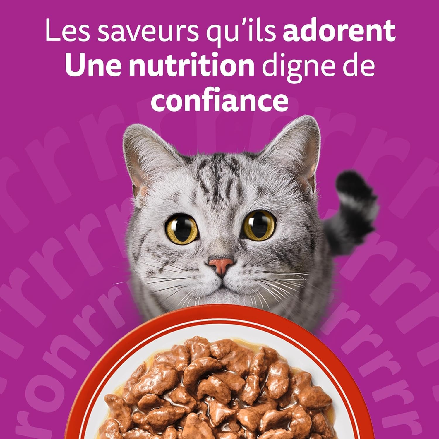 Thumbnail 6 de WHISKAS Aliment humide en sauce Chat adulte – Les Repas Classiques, 84 x 85 g