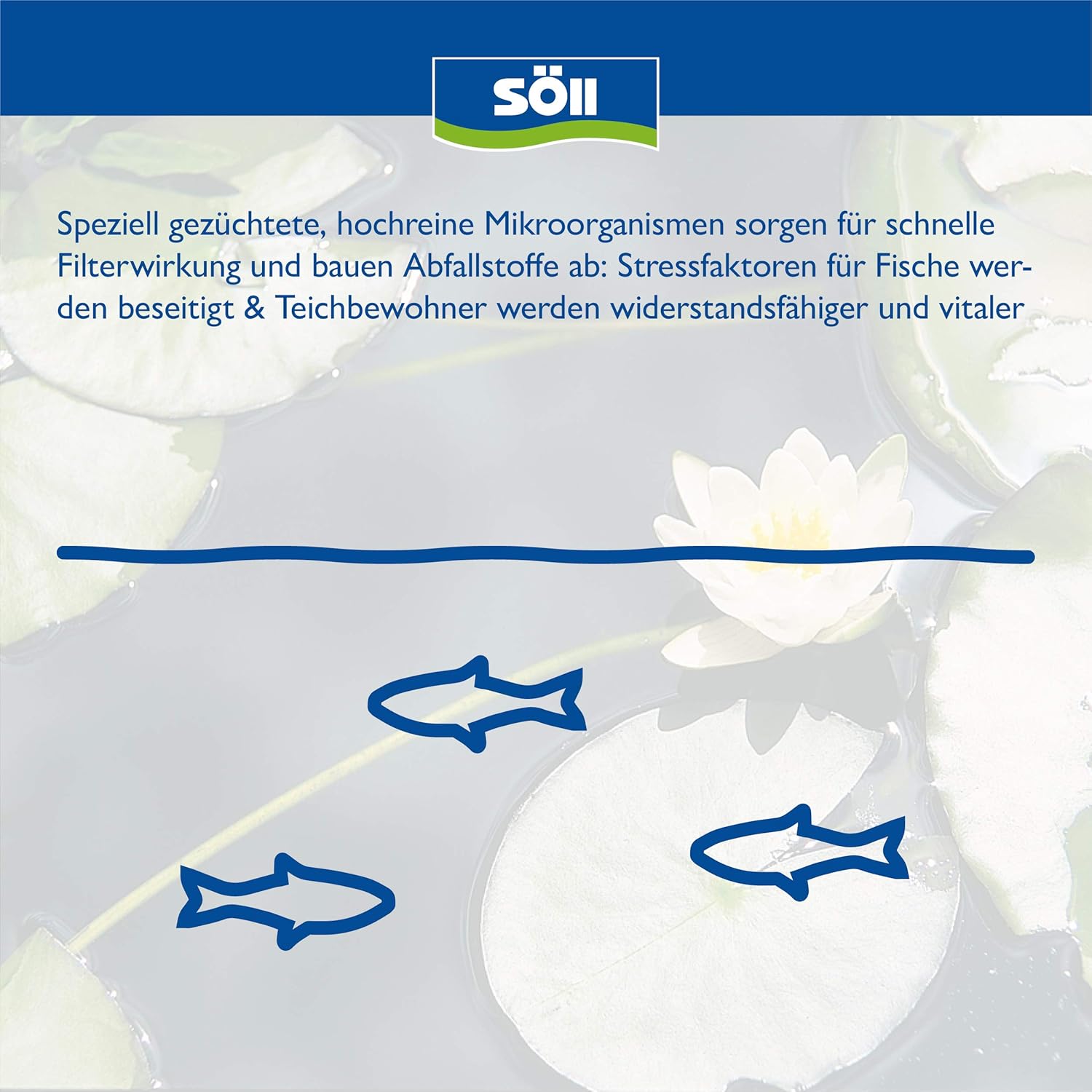 Thumbnail 3 de Söll FilterstarterBakterien 100 g – Hochreine Mikroorganismen für den Gartenteich