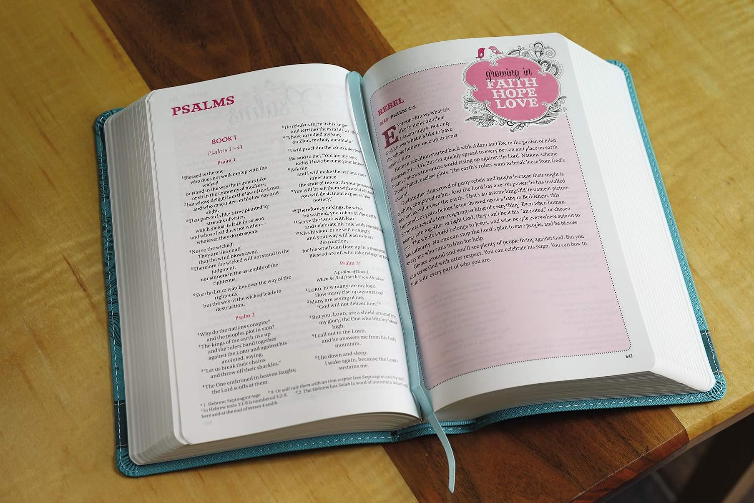 Thumbnail 3 de NIV Bible for Teen Girls, Blue Leathersoft Edition with Daily Readings