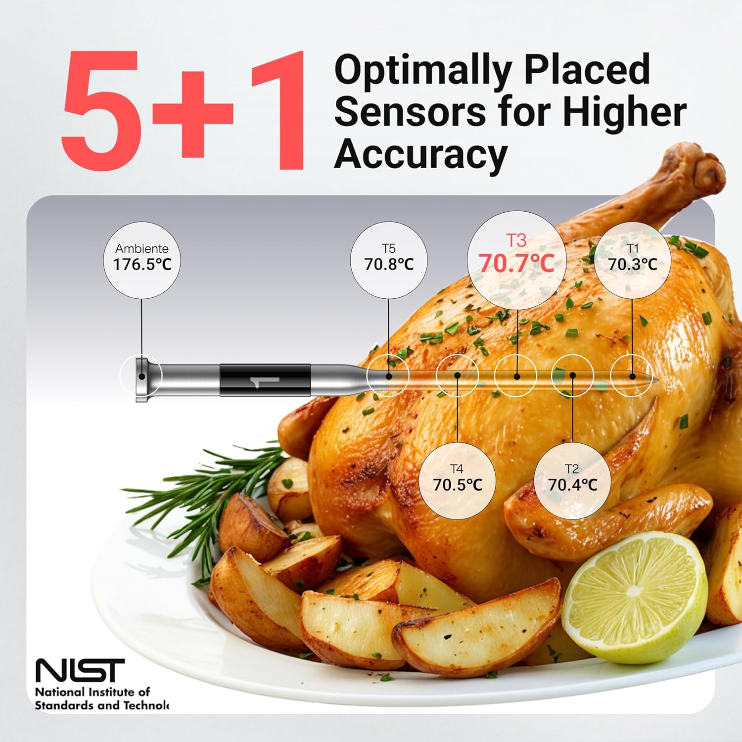Detalle de ThermoMaven P1 Wireless Meat Thermometer: WiFi, Bluetooth 5.3 and IPX8 Probe