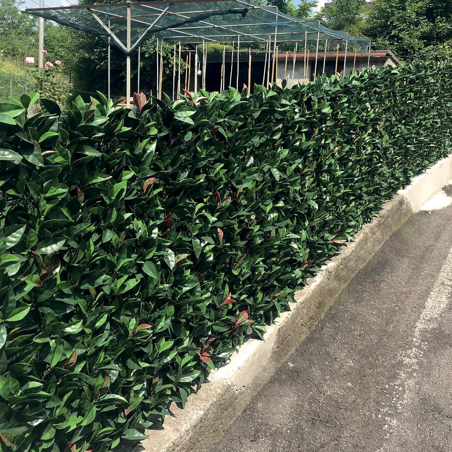 Thumbnail 3 de TENAX Divy 3D Plus Photinia: Siepe Sintetica 1,00x3m con Foglie 3D