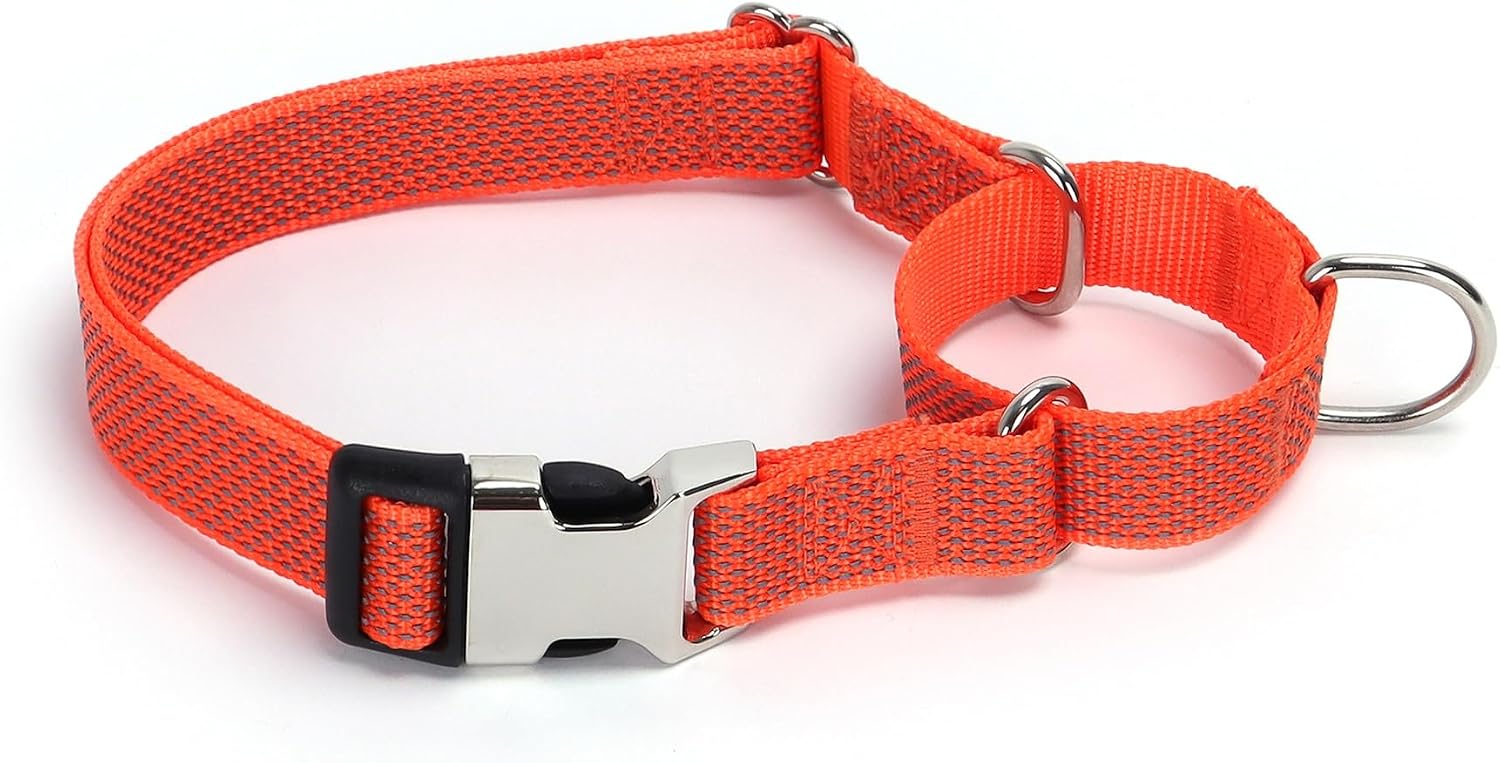 Detalle de TDTOK MDGE Martingale Dog Collar with Reflective Nylon and Metal Quick-Release Buckle