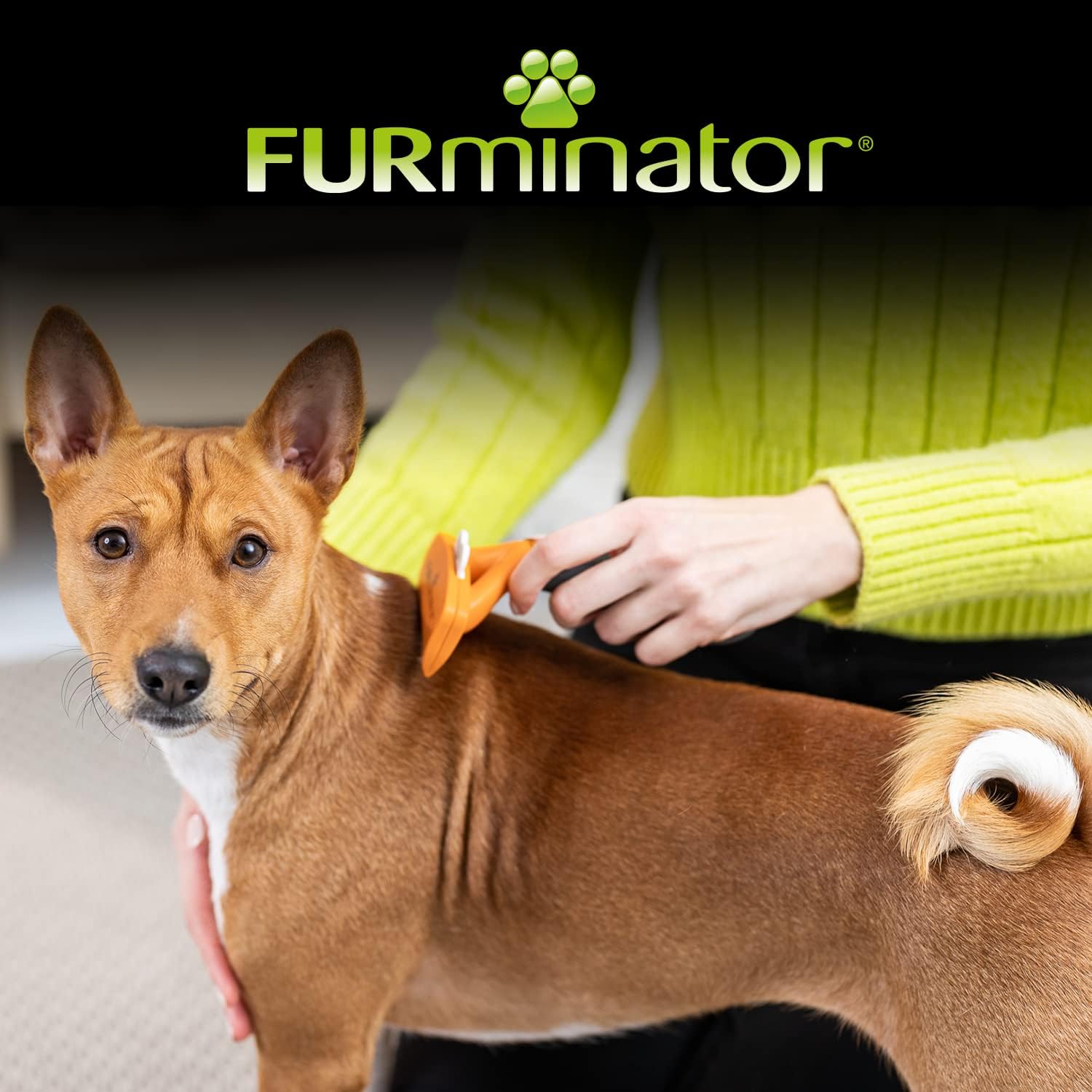 Thumbnail 6 de FURminator deShedding M para perros medianos, cepillo