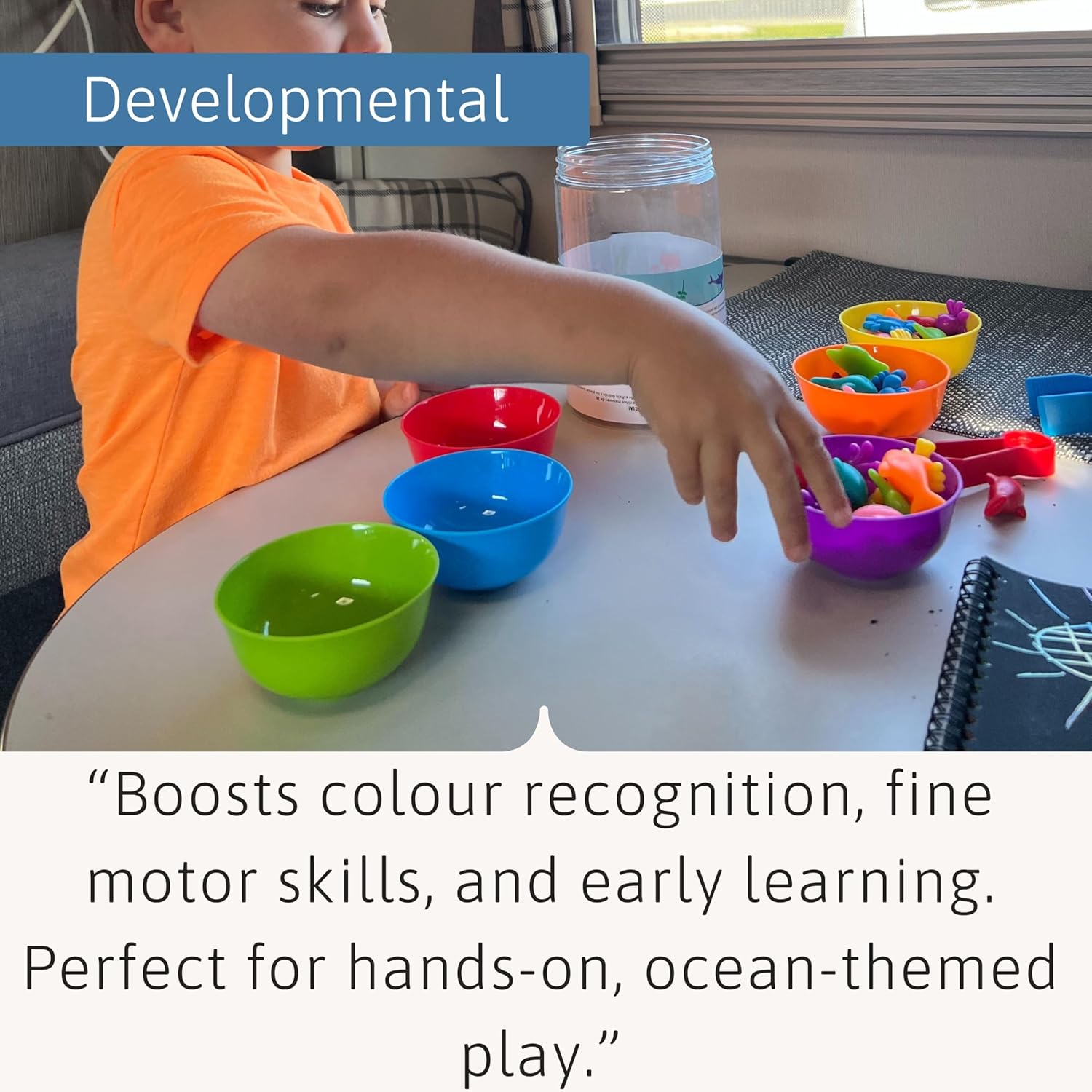 Detalle de Jaques of London Colour Sorting Toys for Toddlers – Under the Sea Edition
