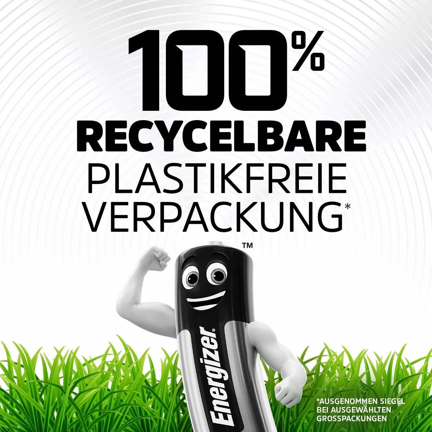 Detalle de Energizer Recharge Power Plus AAA Akkus (8 Stück) – 700 mAh NiMH, langlebige Wiederaufladbarkeit