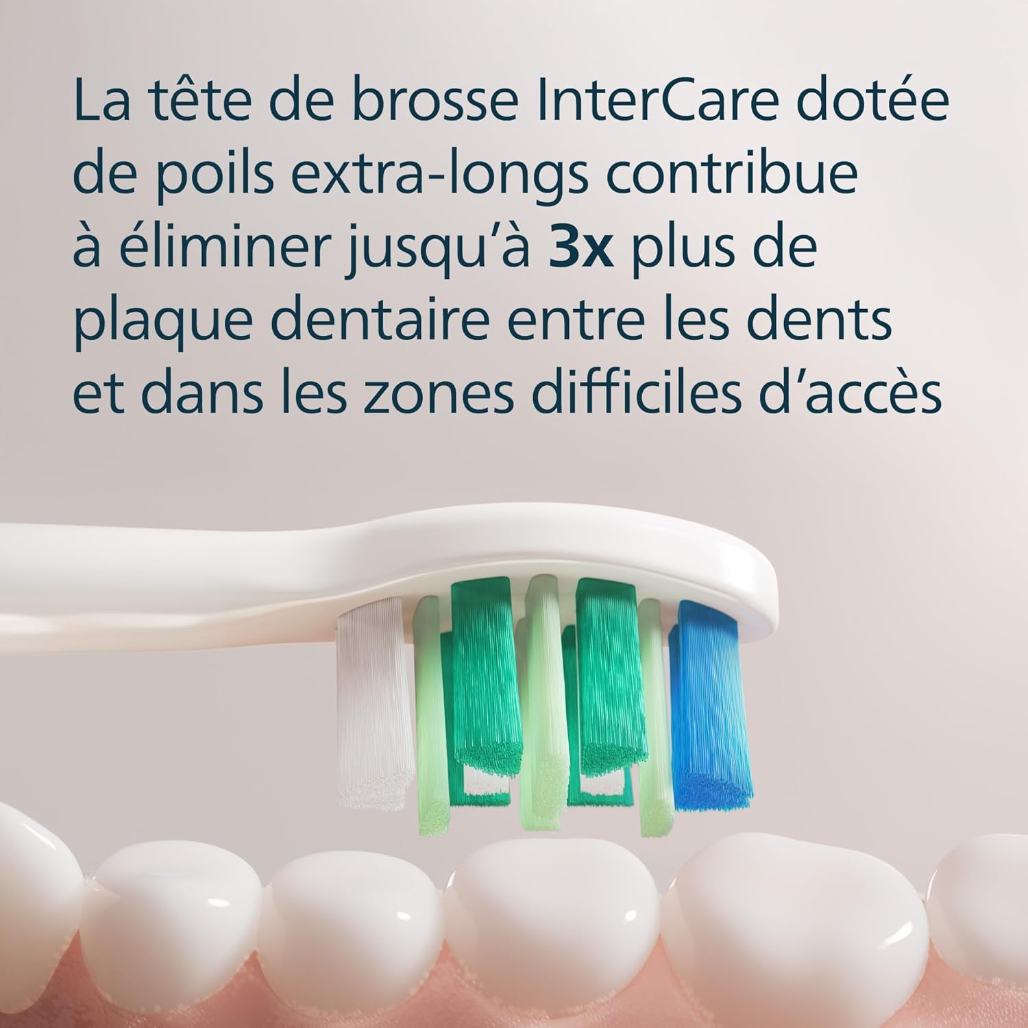 Detalle de Philips Sonicare InterCare – 8 têtes de brosse interchangeables HX9008/87 (blanc)