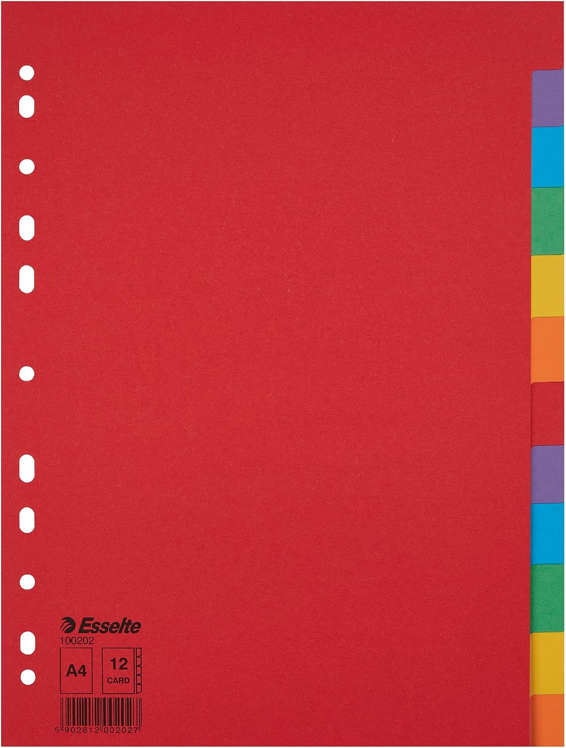 Esselte – 10 jeux d'intercalaires A4 12 touches multicolore, carton résistant (100202)