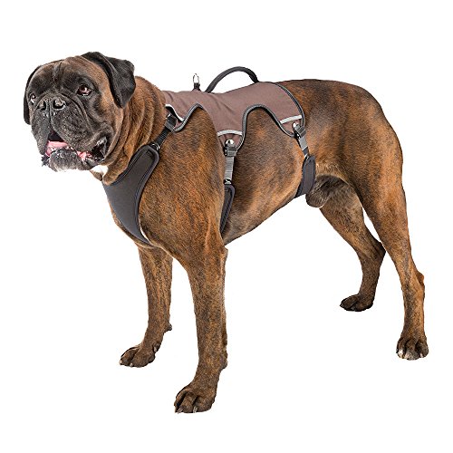 Thumbnail 4 de Ferplast Harnais Grand Chien ERGOTREKKING LARGE, anti-évasion, 6 fermetures ⚙