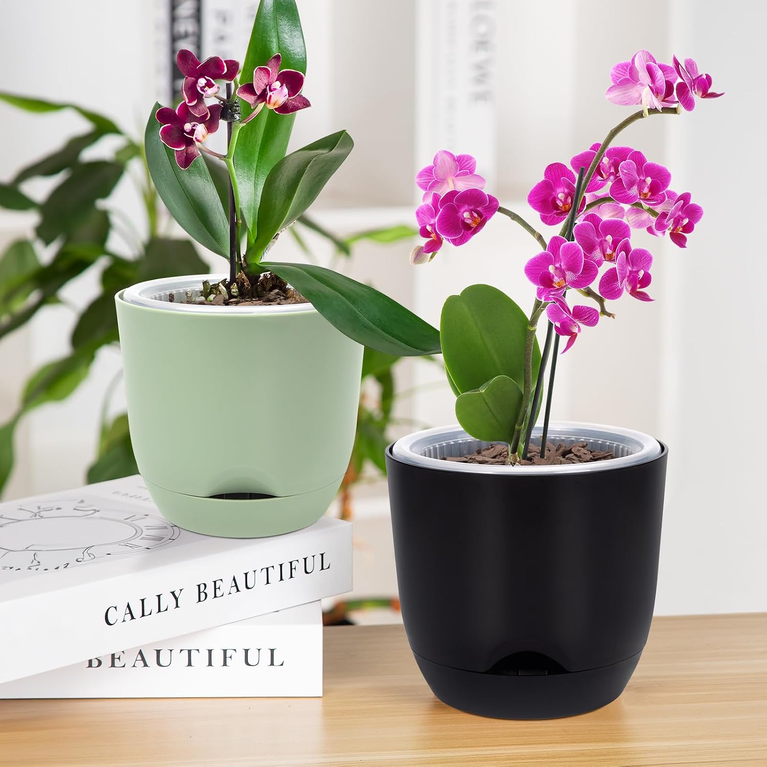 Detalle 2 de QCQHDU 2 Pack Orchid Pots (5.8in) with Self-Watering Reservoir – Clear Plastic, Leak-Resistant Design