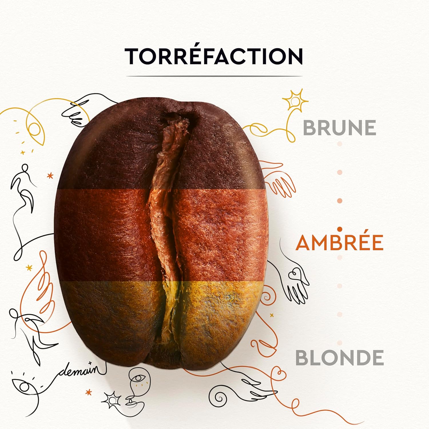 Detalle de CARTE NOIRE Grains Solidaires Intensité 7 – 500 g, 100% Arabica et Rainforest Alliance