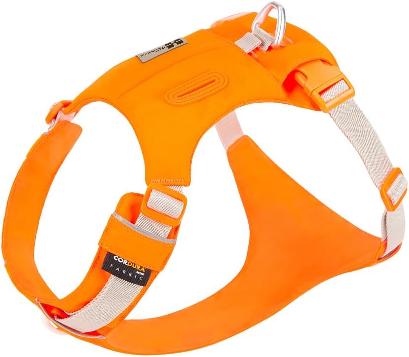 Detalle de Small Combination Dog Harness with Pocket – Adjustable Turquoise (Orange, M)