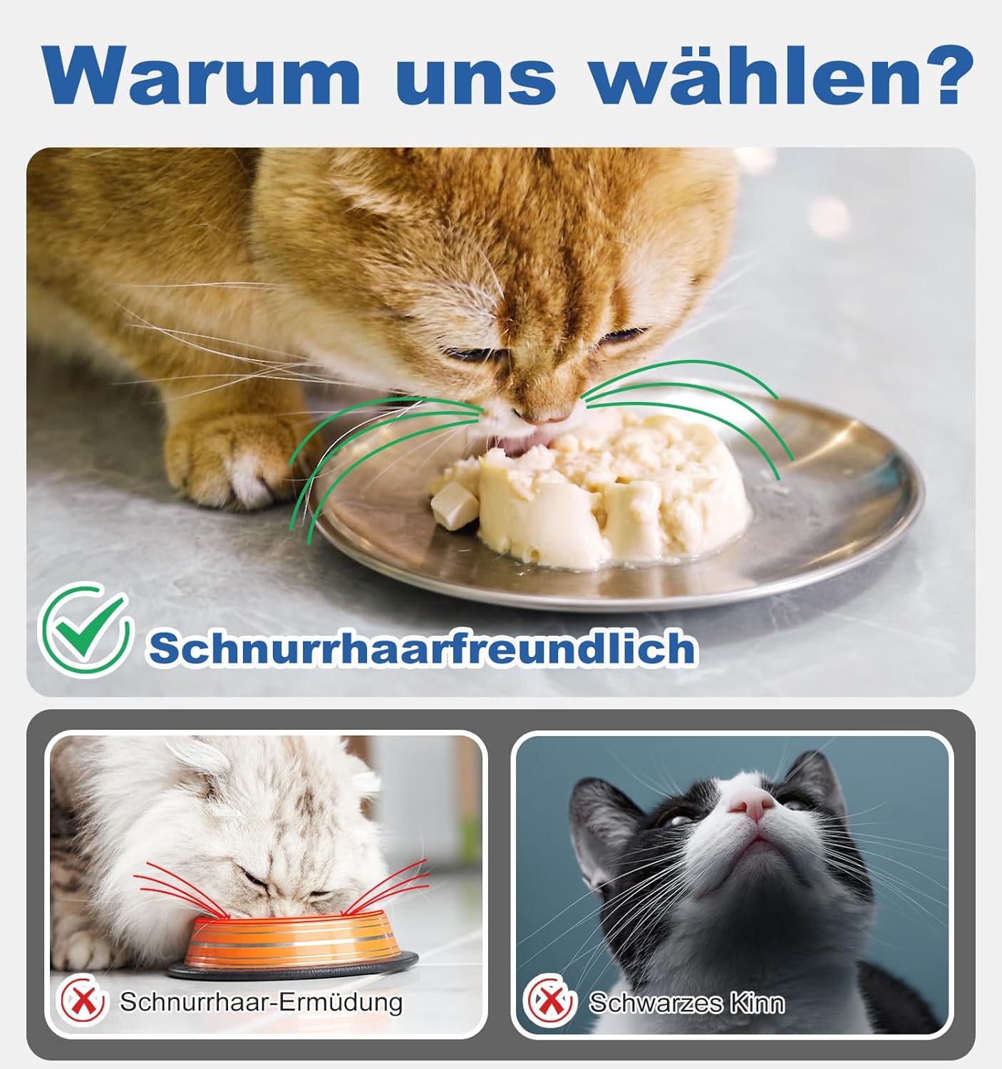 Detalle 2 de Katzennäpfe Supet 17 cm Edelstahl
