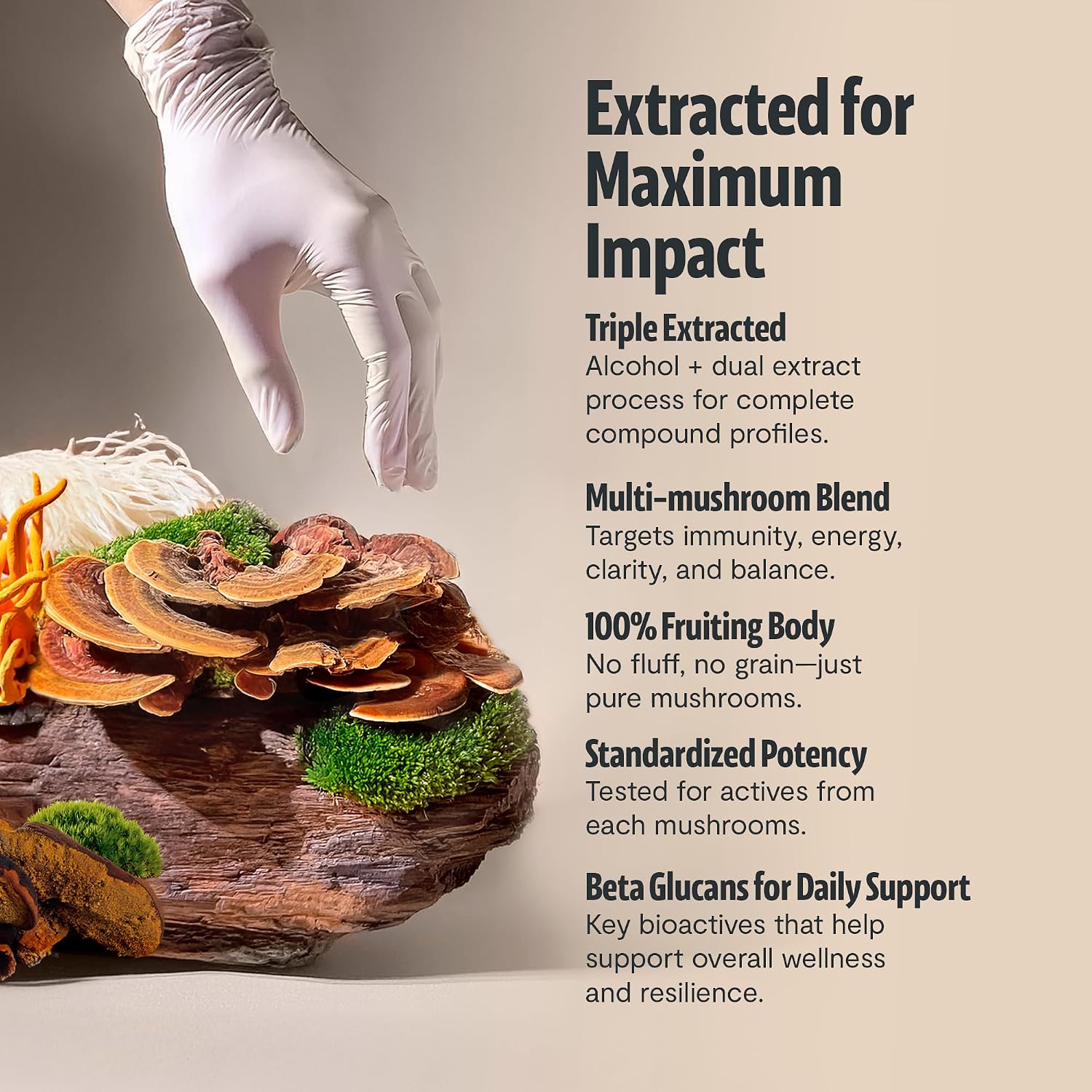 Detalle de FreshCap Mushroom Powder 60 Servings