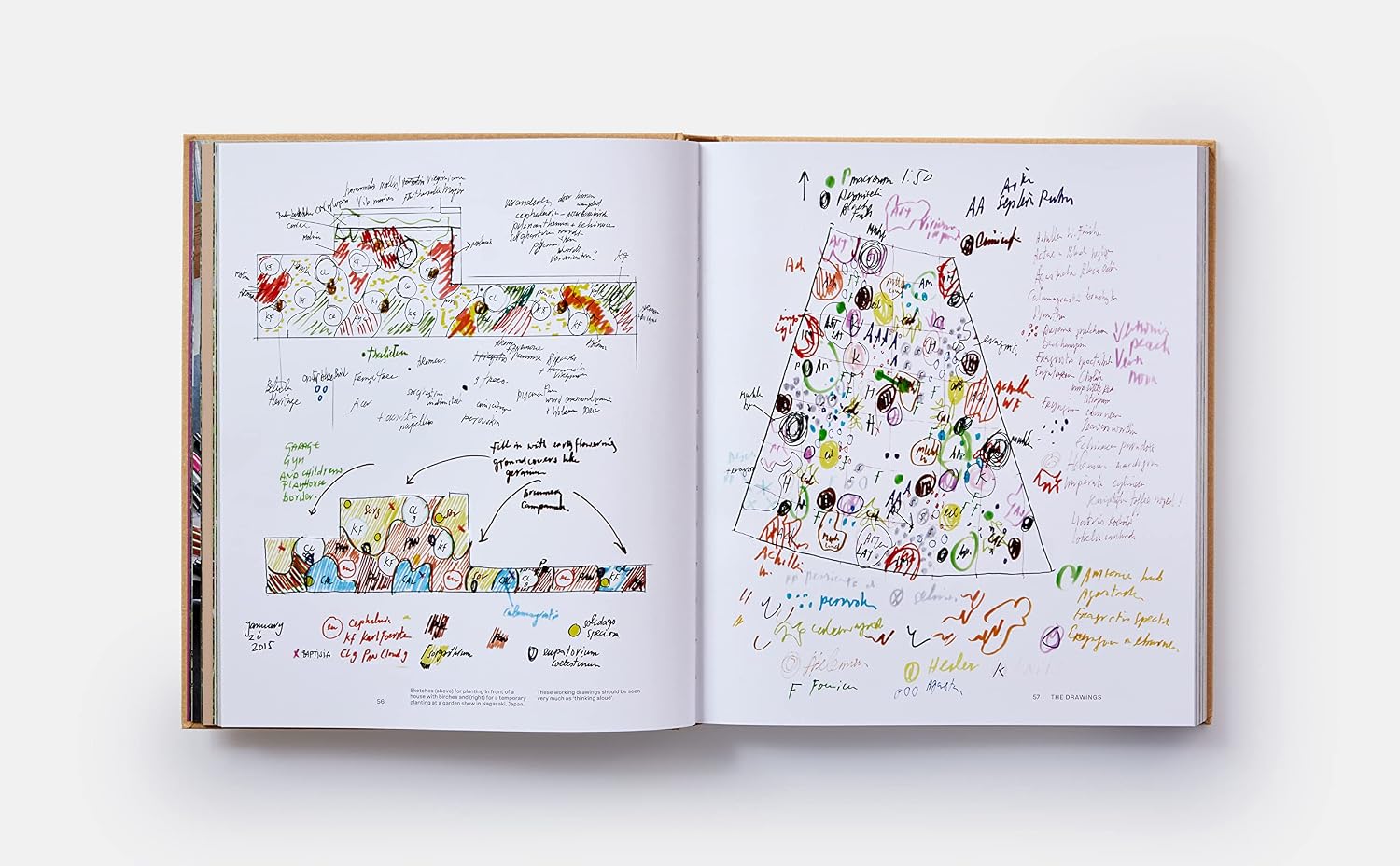 Thumbnail 4 de Piet Oudolf At Work: Hardcover Book with Contributions by James Corner and Noel Kingsbury