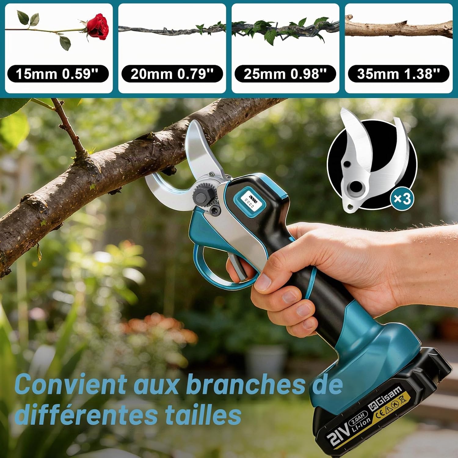 Detalle de Sécateur électrique avec perche Highsam : 2-en-1, portée 4,2 m et moteur brushless pour arbres fruitiers et jardins