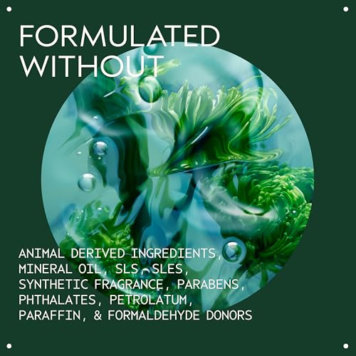 Detalle de Aveda Men Pure-Formance Grooming Clay — Strong Hold, Matte Finish, Lightweight Styling Clay (2.5 oz)