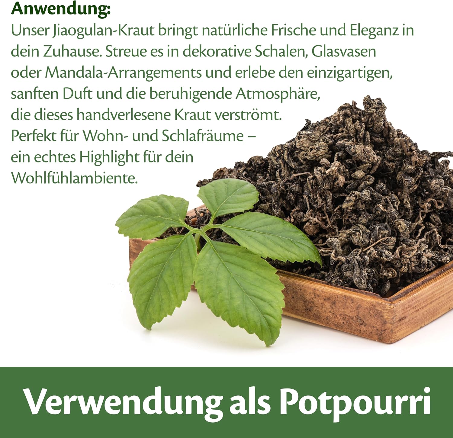 Thumbnail 5 de Jiaogulan Kraut der Unsterblichkeit 150g