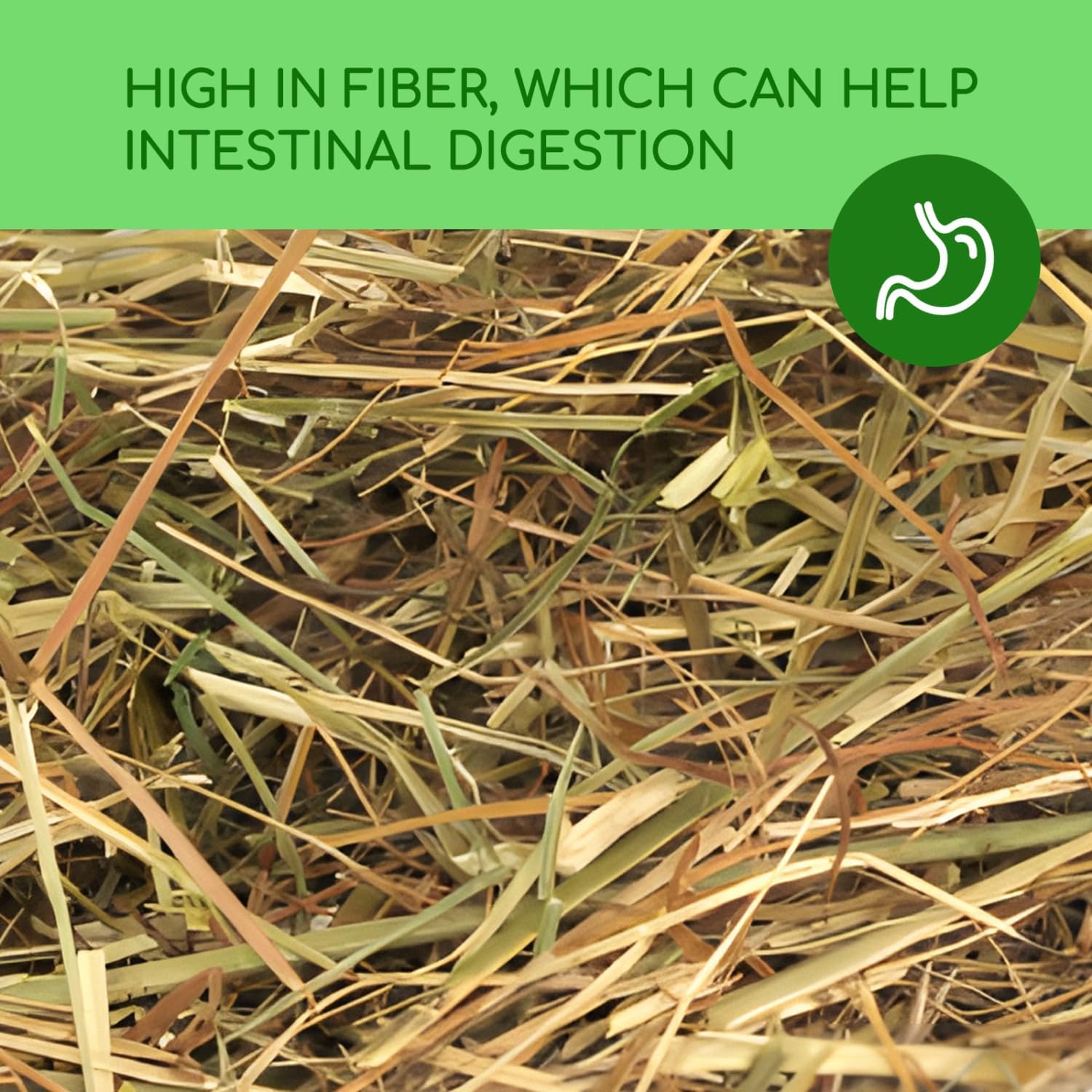 Thumbnail 3 de Nobleza Timothy Hay per conigli e roditori, 2,5 kg di fieno ricco di fibre