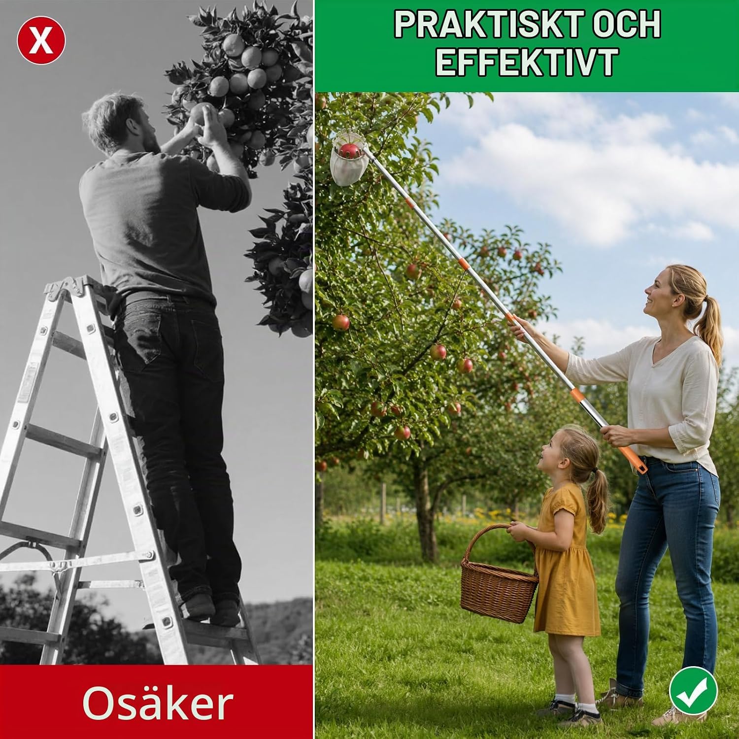 Detalle de Fruktplockare med 6 m skaft, 16 cm öppning och förvaringsväska