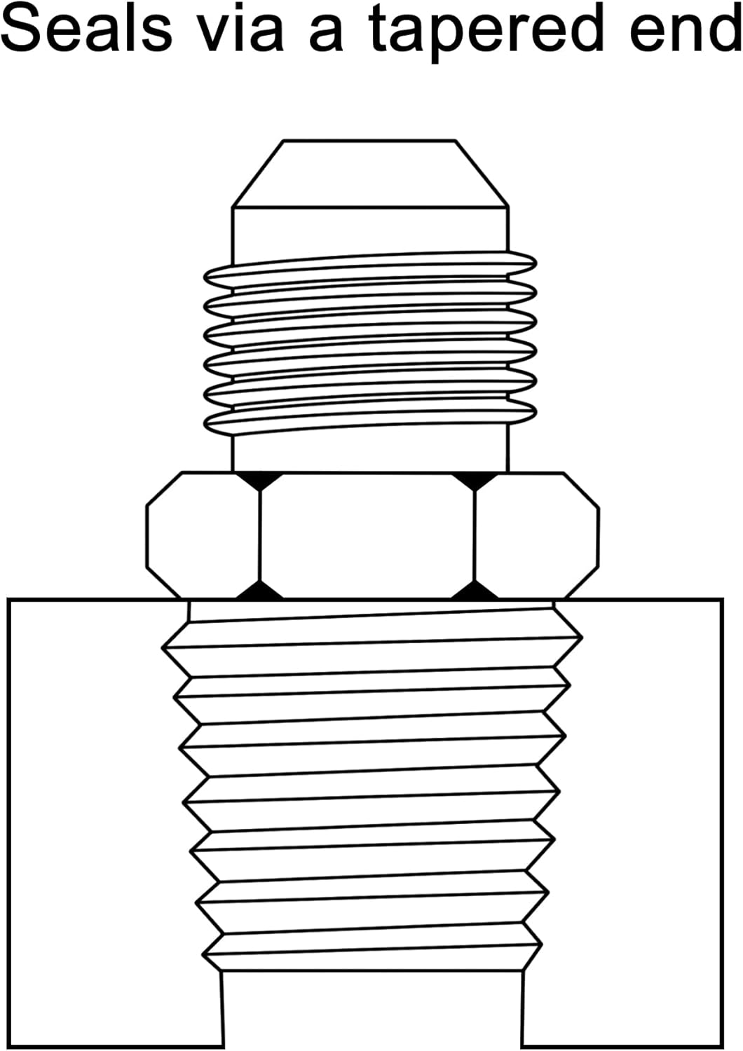 Detalle 2 de EVIL ENERGY 6AN to 1/8 NPT 2pcs