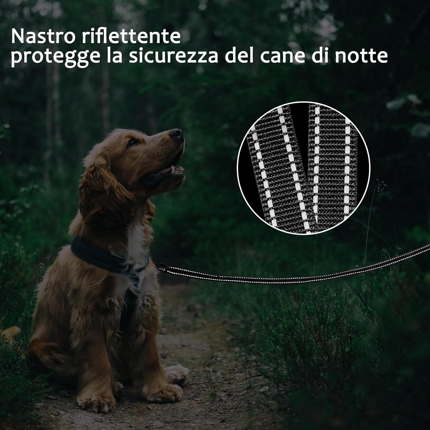 Detalle de COMSLE guinzaglio lungo per addestramento: lunghina in nylon con gancio robusto e impugnatura imbottita (3/5/10/15/20 m)