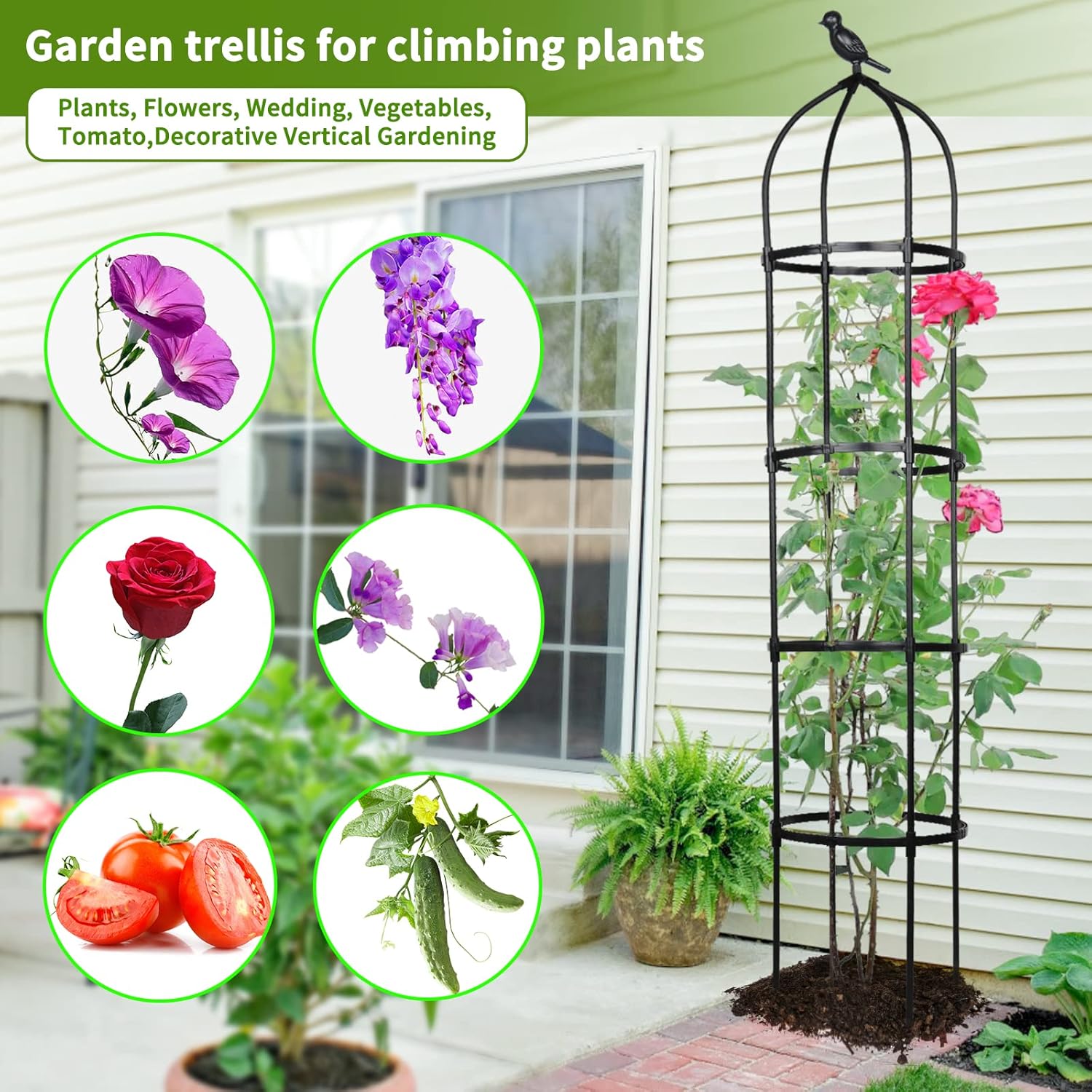 Thumbnail 6 de PICK FOR LIFE Garden Trellis 145cm