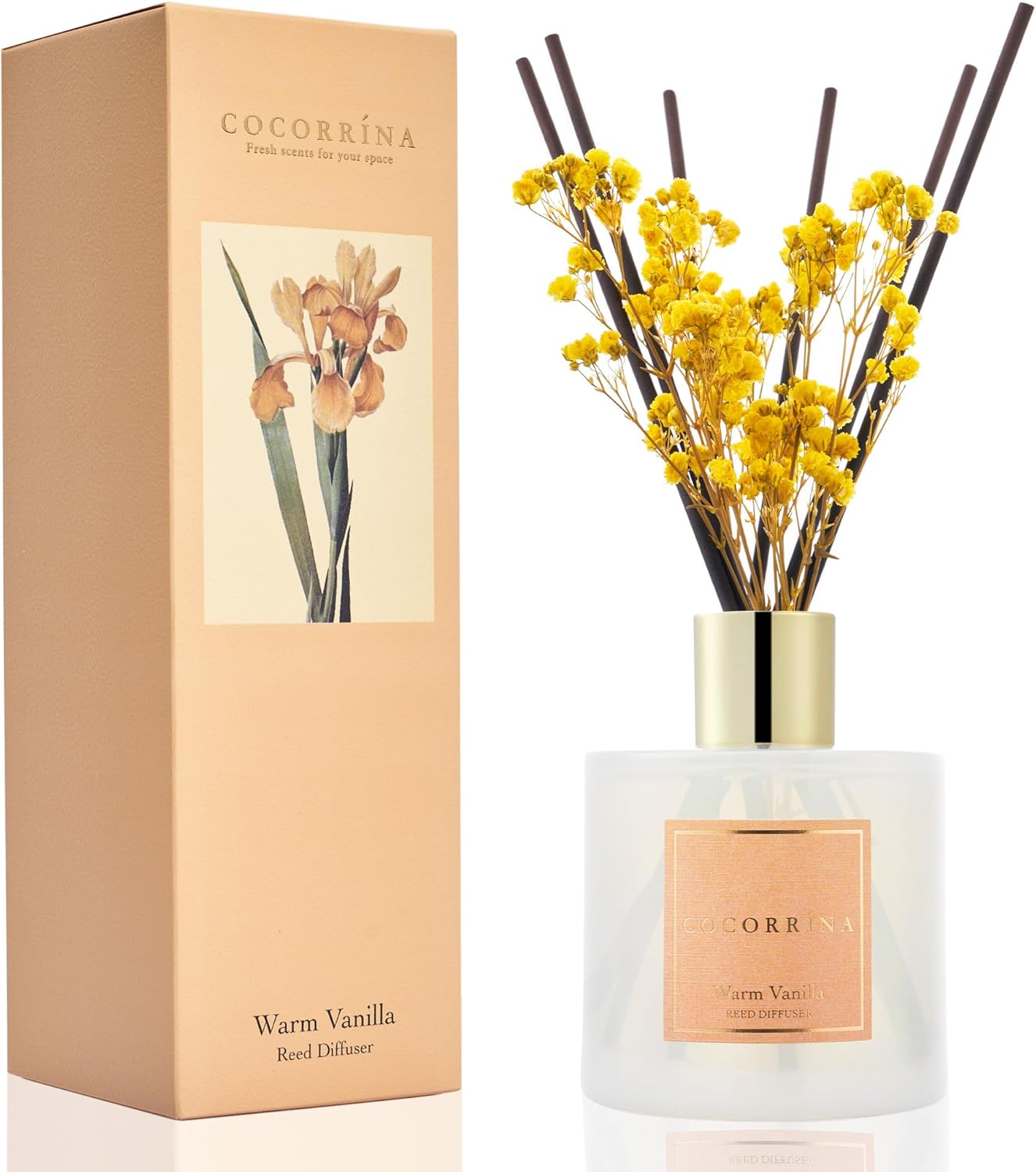 Cocorrína Warm Vanilla Reed Diffuser with 8 Sticks 🕯