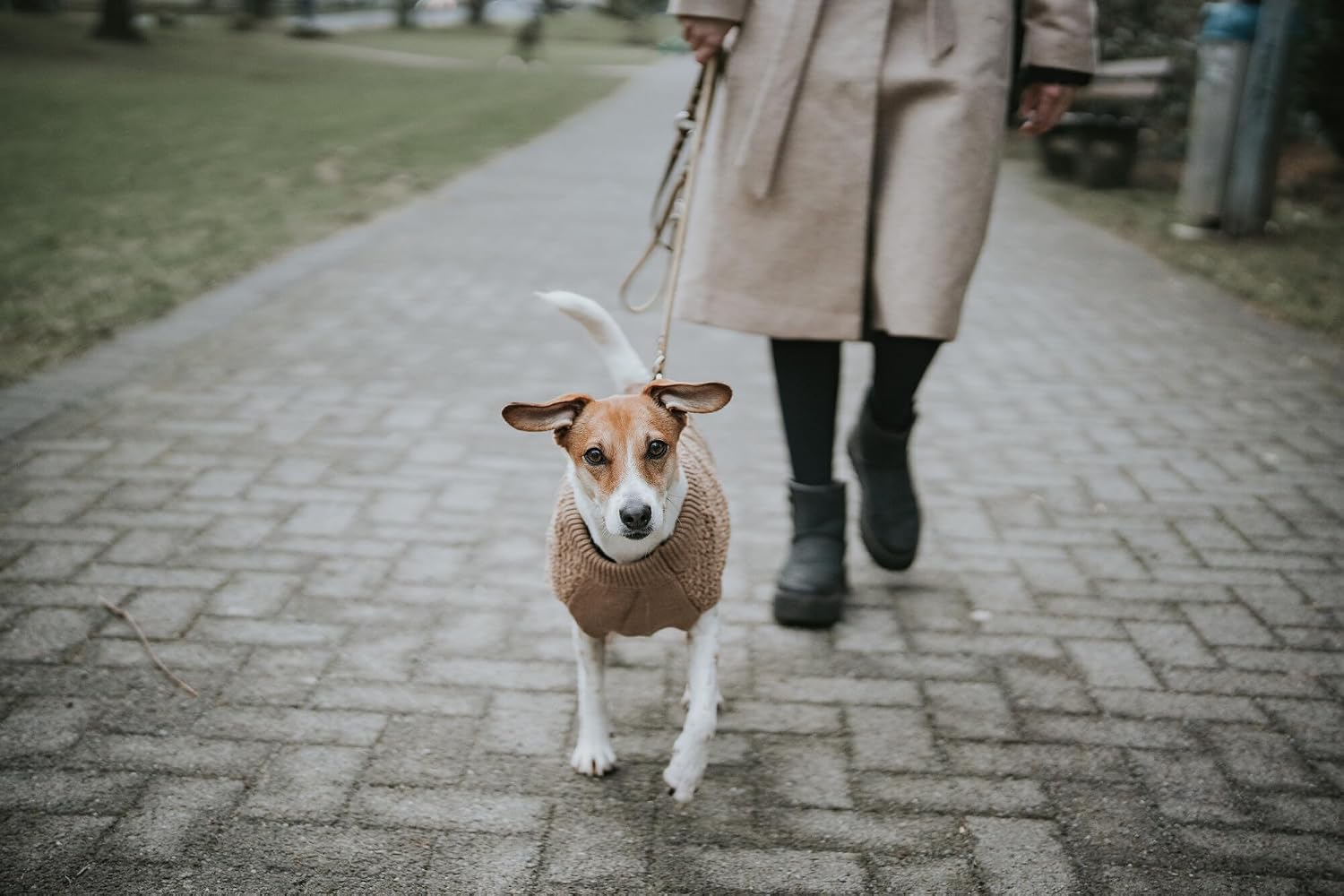 Thumbnail 6 de HUNTER Hundepullover MALMÖ in Beige – Zopfstrick, elastisch & reflektierend